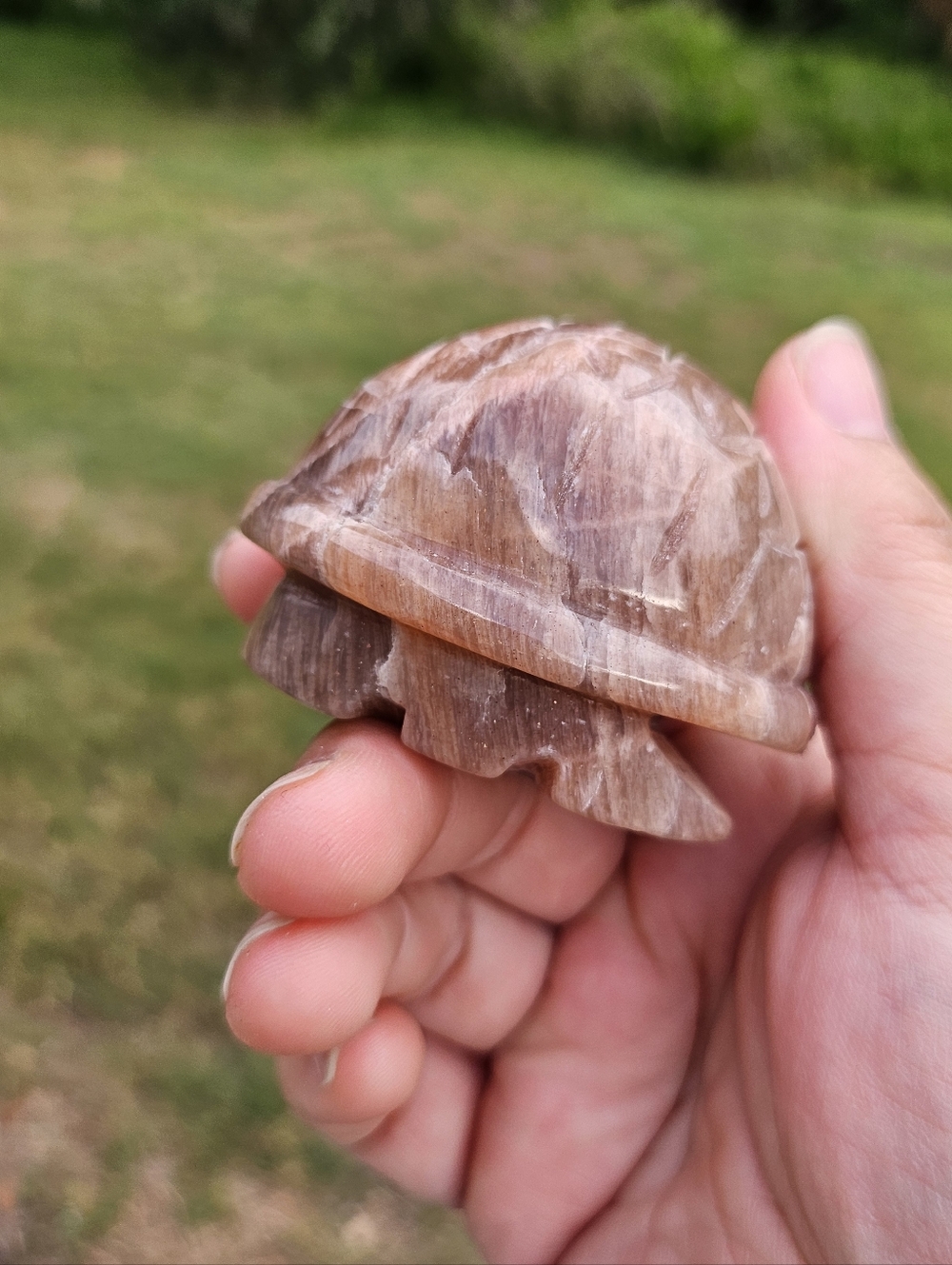 Peach Moonstone Turtle Shell - Picture 2 of 4